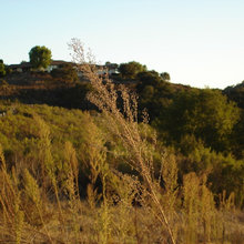 Corbett Highlands Sunset and Sunrise pics