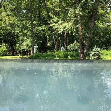 North Liberty, IA - Modern Swimming Pool Concrete New Construction