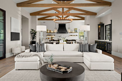 Transitional living room photo in Phoenix
