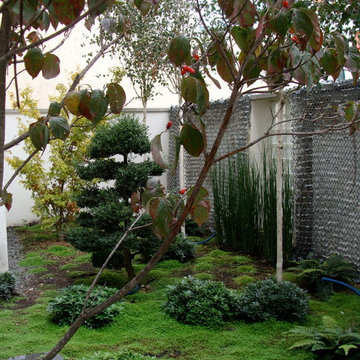 Jardin d'inspiration Japonnaise