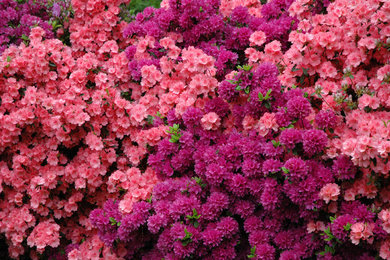 Inspiration for a small traditional partial sun landscaping in Other for spring.