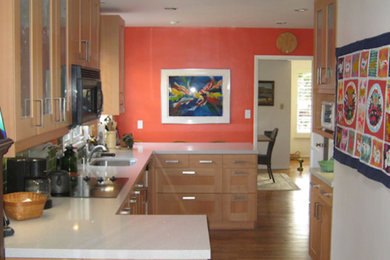 Inspiration for a kitchen remodel in San Diego