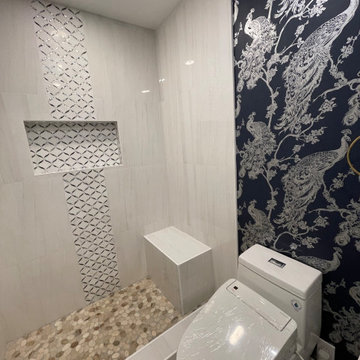 Danville Guest Bathroom remodel