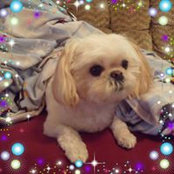 Diane Clark's photo