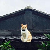 Xiao Lee Wong's photo
