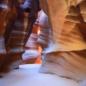 Evan Mee-Lee's photo