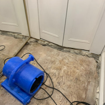 Encino Mitigation