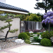 Side Garden