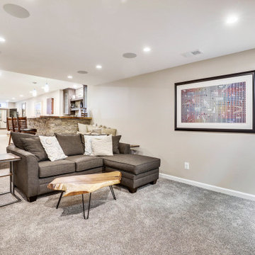 Home Gym / Dance Studio / Basement Renovation