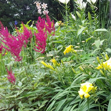 Astilbes, lilies and daylilies - Oh my!