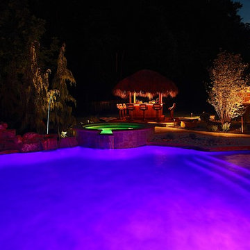 Tiki Bar Pool Plus