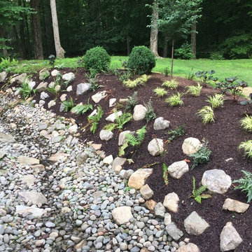 Riparian Stream Restoration : Pound Ridge NY