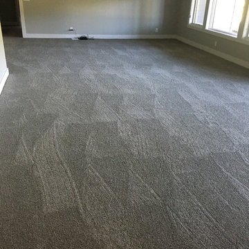 Carpet Selection and Install
