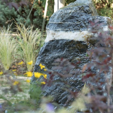 It Began with a Rock