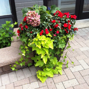 Summer Urns/Planters