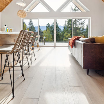 Jova Signature| Modin Rigid LVP Collection Scandinavian Customer Space | MT