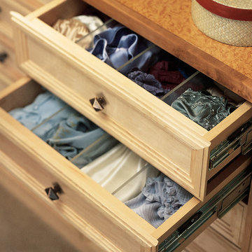 Transitional Closet