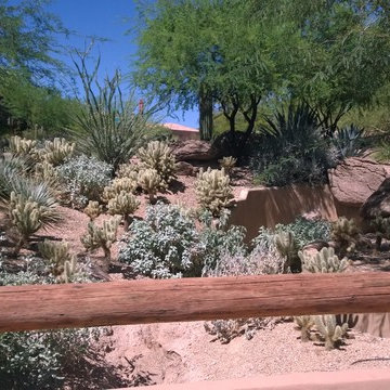 North Scottsdale Residence