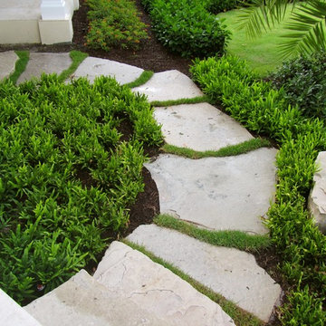 stepping stone path