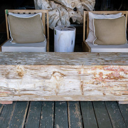 Petrified Wood Online Store - Products