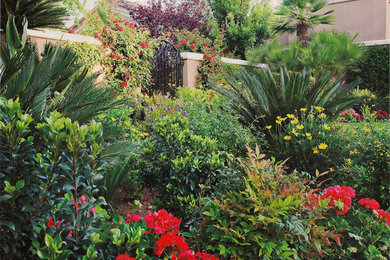 Photo of a large tropical backyard full sun garden for summer in Phoenix with natural stone pavers.