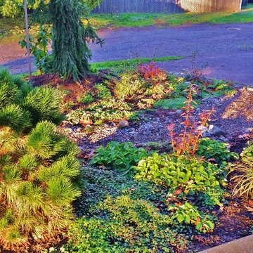 Woodstock Rain Garden Landscape Makeover