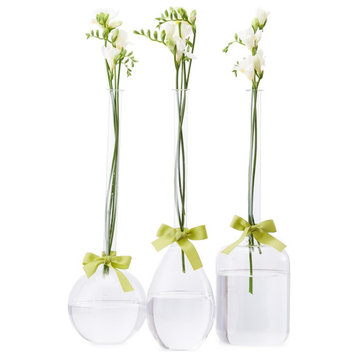 Two's Company Sleek And Chic Vase Trio With Sage Green Ribbon