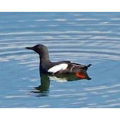 Tracy Pike's photo