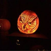 Starr Strickland's photo