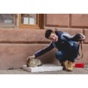 Radu Tucra's photo