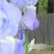 Missy Stone's photo