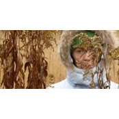 Olga Bidash's photo