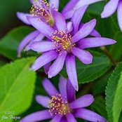 Marie Clark-Murray's photo