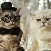 Sandra Altamirano's photo