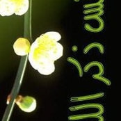 Rima Skaik's photo