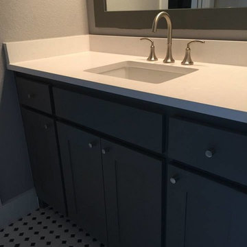Transitional House
