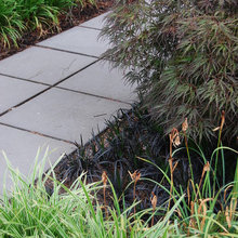 Path and Walkway