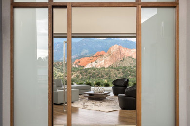 Living room - modern living room idea in Denver