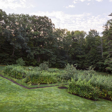 Custom Stone Wall & Lush Garden Project