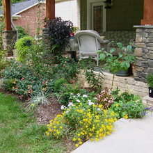 Garden ideas