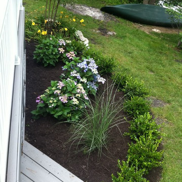 Summer Blooms