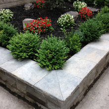 Patio Ideas