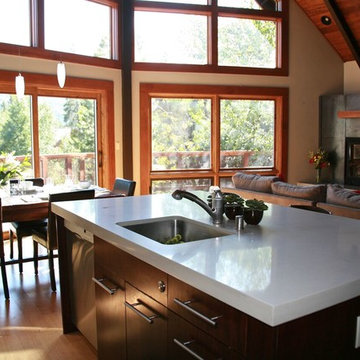Tiger Tail-Contemporary Mountain Home In Squaw Valley