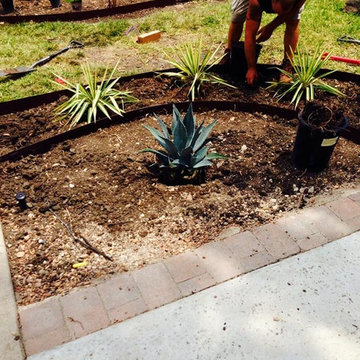 Xeriscape