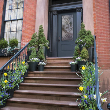 Masonite Belleville 1 Panel Hollister Lite Exterior Fiberglass Doorr