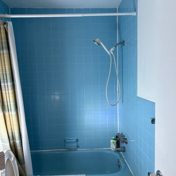 Retro Bathroom Update