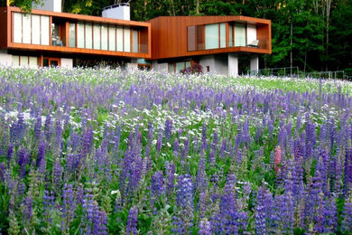 Design ideas for a transitional backyard landscaping in Bridgeport.