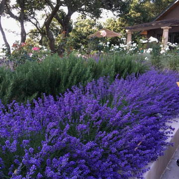 Napa Valley vineyard overlook home and garden