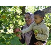 Sara Elnakib's photo