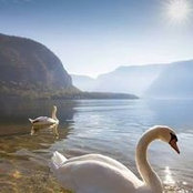 Vanessa Maclean's photo